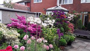 Photo 8- click for photo gallery